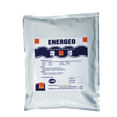 ENERGEO ENERGEO